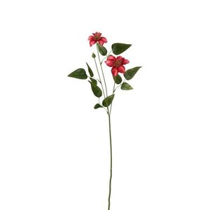 Růžová kytička Clematis -61cm 2552 obraz