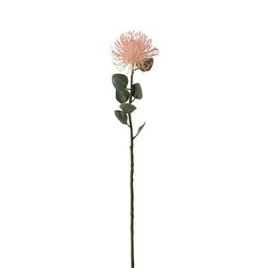 Růžová květina jehelníček Pincushion - 72cm 2541 obraz