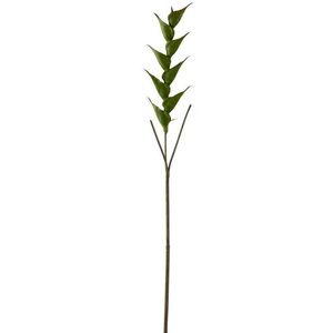 Zelená květina Heliconia - 141cm 2559 obraz