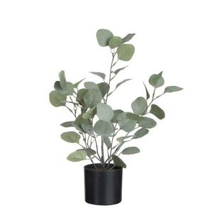 Dekorace Eucalyptus v květináči - Ø12*43cm 87580 obraz