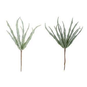 Dekorace 2ks květina Haworthia - 28 cm 87380 obraz