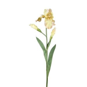 Dekorace umělý žlutý kosatec Iris Pale - 81 cm P820159 obraz