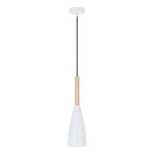 Závěsné svítidlo s kovovým stínidlem ø 10 cm Trosa – Candellux Lighting obraz