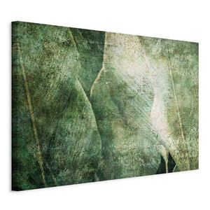 artgeist LEINWANDBILD, abstraktní, listy, 120/80/1, 2 cm obraz