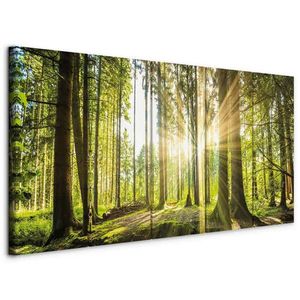 artgeist LEINWANDBILD, krajina a příroda, stromy, 200/80/1.2 cm obraz