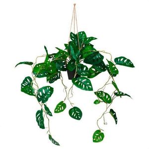 MID.YOU UMĚLÁ ROSTLINA monstera obraz