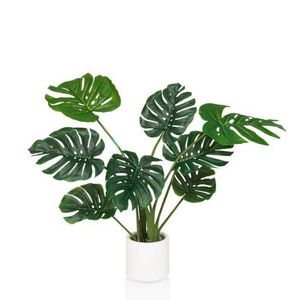 MID.YOU UMĚLÁ ROSTLINA monstera obraz