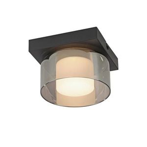 Paul Neuhaus STROPNÍ LED SVÍTIDLO, 15/15/10 cm obraz