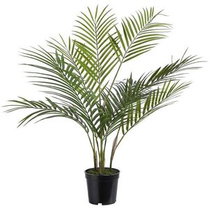 XXXL UMĚLÁ ROSTLINA 75 cm obraz