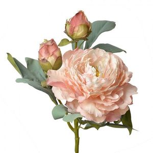 Růžová dekorace květina pivoňka - 12*12*62 cm 6PL0332P obraz