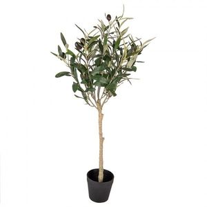 Dekorace umělý stromek olivovník s olivami Olea Tree - 15*15*70 cm 5PL0150 obraz