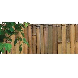 Gespaltene Bambusmatte1, 5 x 5m obraz