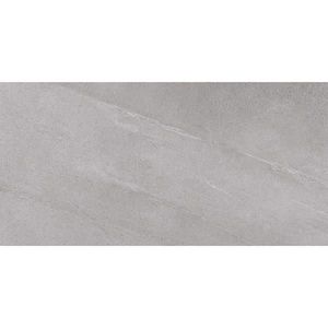 Base Materia Gris Asp R11 906478 60/120 obraz