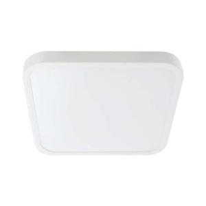 LED Koupelnové stropní svítidlo LED/24W/230V 6500K IP44 bílá obraz
