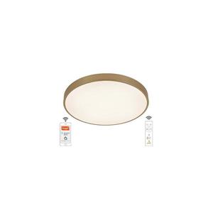 LED Stmívatelné stropní svítidlo LED/48W/230V 2700-6500K Wi-Fi Tuya + DO obraz