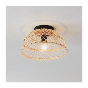 Eglo Eglo 43831 - Stropní svítidlo AUSNBY 1xE27/40W/230V obraz