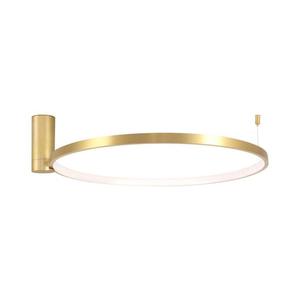 LED Stropní svítidlo NOEMI LED/20W/230V 4000K pr. 50 cm zlatá obraz