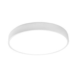 LED Stropní svítidlo LED/30W/230V 4000K pr. 30 cm bílá obraz
