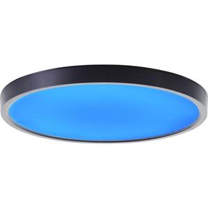 Brilliant Brilliant - LED RGBW Stmívatelné stropní svítidlo LOTTI LED/16W/230V + DO obraz
