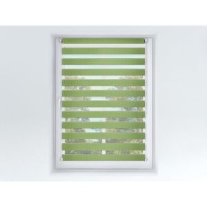FEXI Roleta Den a noc, Origin slim zelené jablko, A 042, 150x30 cm obraz