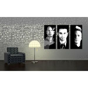 Ručně malovaný obraz Depeche Mode ve stylu POP Art, 3 díly, 000 dep | různé velikosti obraz