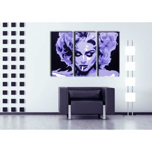 Ručně malovaný obraz POP Art MADONNA, 3dílný obraz 0002 ma | různé velikosti obraz
