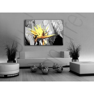 Ručně malovaný POP Art Flower 1 dílný 120x80cm obraz