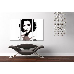 Ručně malovaný obraz POP Art Elizabeth Taylor 3 dílná et2 | různé velikosti obraz