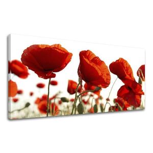 Panoramatický obraz na zeď KVĚTY 60x120 cm obraz