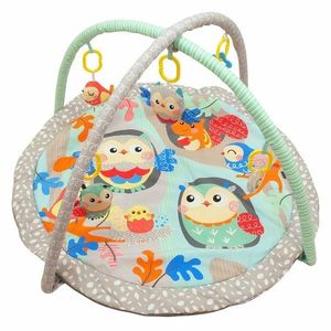 Hrací deka Baby Mix sovičky obraz