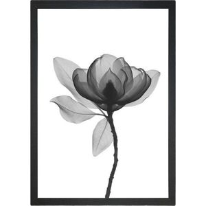 Obraz 24x29 cm Harmony Flower – Vavien Artwork obraz