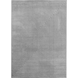 Šedý vnitřní a venkovní koberec 280x370 cm Nova 1202 – Ayyildiz Carpets obraz