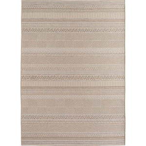 Béžový vnitřní a venkovní koberec 80x150 cm Desert 1303 – Ayyildiz Carpets obraz