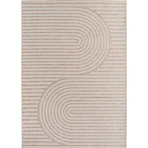 Béžový vnitřní a venkovní koberec 80x150 cm Desert 1301 – Ayyildiz Carpets obraz