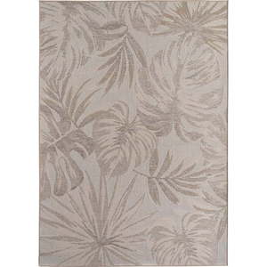 Béžový vnitřní a venkovní běhoun 80x250 cm Desert 1302 – Ayyildiz Carpets obraz