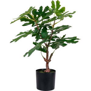 Umělá rostlina (výška 60 cm) Fig – House Nordic obraz