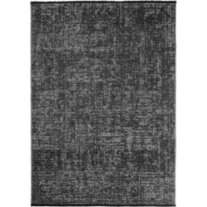 Tmavě šedý pratelný koberec 120x170 cm Space 1900 – Ayyildiz Carpets obraz