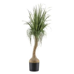 XXXL UMĚLÁ ROSTLINA 150 cm obraz