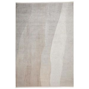 Dieter Knoll VINTAGE KOBEREC, 80/150 cm, šedá obraz