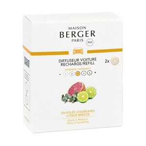 Maison Berger Paris Keramická náplň vůně do auta Citrusový vánek, 2 ks 6580 obraz