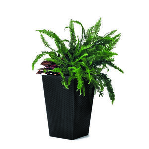 Ketter Obal na květináč Rattan Planter antracit, 23, 6 l, 29 x 44 x 29 cm obraz