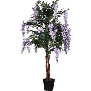 PLANTASIA 85195 Umělý strom Vistárie 120 cm, modrofialové květy obraz