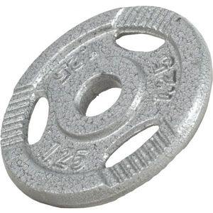 Gorilla Sports Litinový zátěžový kotouč, stříbrná, 1, 25 kg obraz