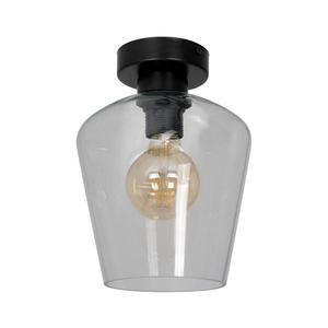 Stropní svítidlo SANTIAGO 1xE27/60W/230V čirá obraz