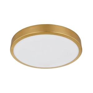 Globo Globo 12381-15 - LED Stropní svítidlo TIBEY LED/15W/230V pr. 25 cm obraz