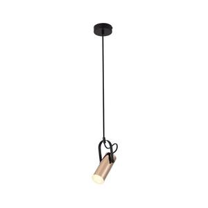Rabalux Rabalux 6429 - LED Lustr na lanku RAVEN LED/5W/230V obraz