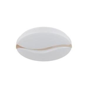 Globo Globo 41790-20 - LED Stropní svítidlo LETICIA LED/24W/230V pr. 39 cm obraz