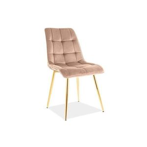 Signal Čalouněná jídelní židle Chic Gold Velvet béžová obraz