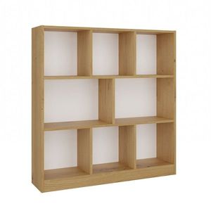 TP Living Regál Fiesta 100 cm dub artisan obraz