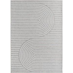 Šedý vnitřní a venkovní koberec 200x290 cm Desert 1301 – Ayyildiz Carpets obraz